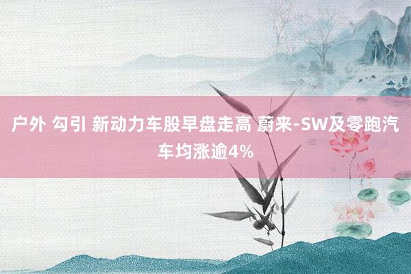 户外 勾引 新动力车股早盘走高 蔚来-SW及零跑汽车均涨逾4%