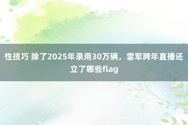 性技巧 除了2025年录用30万辆，雷军跨年直播还立了哪些flag