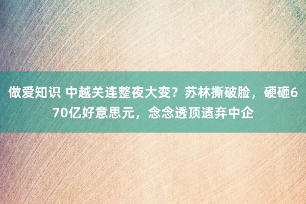 做爱知识 中越关连整夜大变？苏林撕破脸，硬砸670亿好意思元，念念透顶遗弃中企