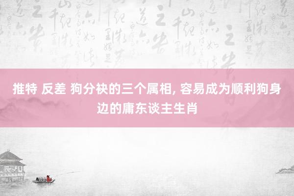 推特 反差 狗分袂的三个属相， 容易成为顺利狗身边的庸东谈主生肖