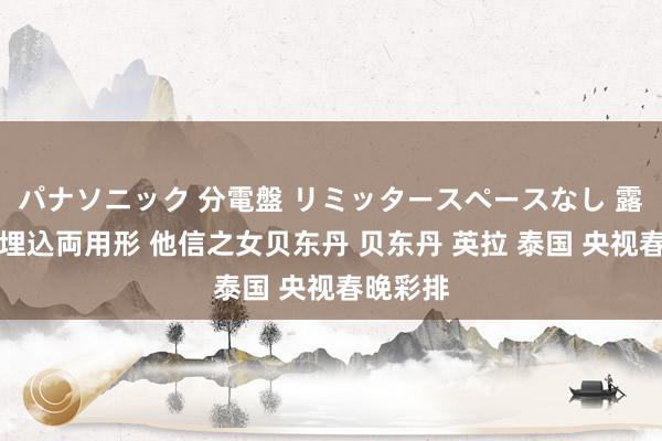 パナソニック 分電盤 リミッタースペースなし 露出・半埋込両用形 他信之女贝东丹 贝东丹 英拉 泰国 央视春晚彩排