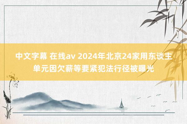 中文字幕 在线av 2024年北京24家用东谈主单元因欠薪等要紧犯法行径被曝光